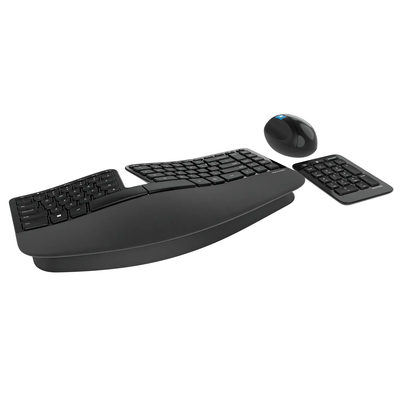 Sculpt Ergonomic Desktop Designed by Microsoft