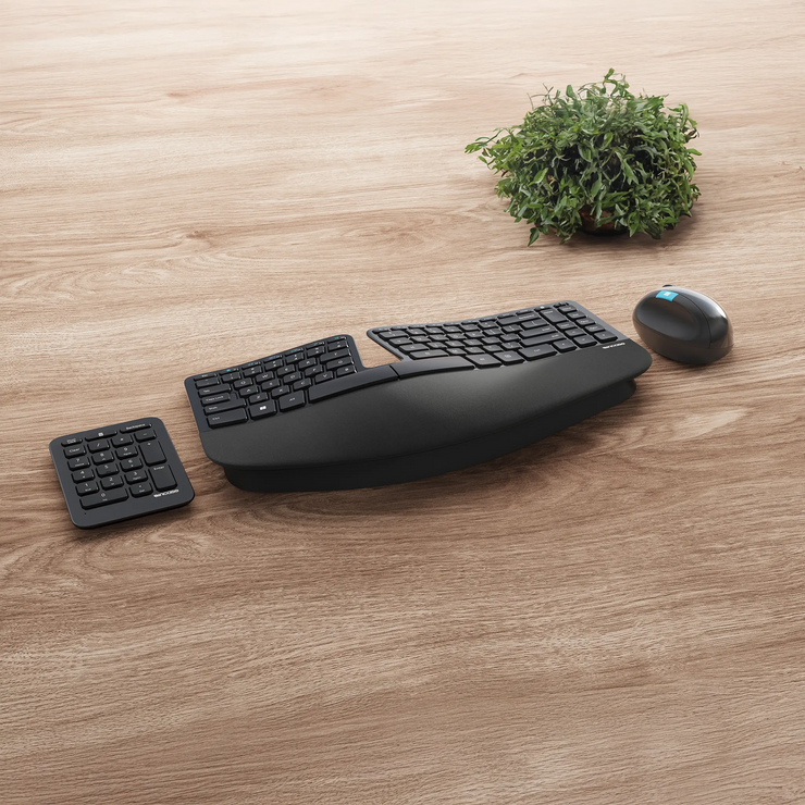 Sculpt Ergonomic Desktop Designed by Microsoft - Incase.com