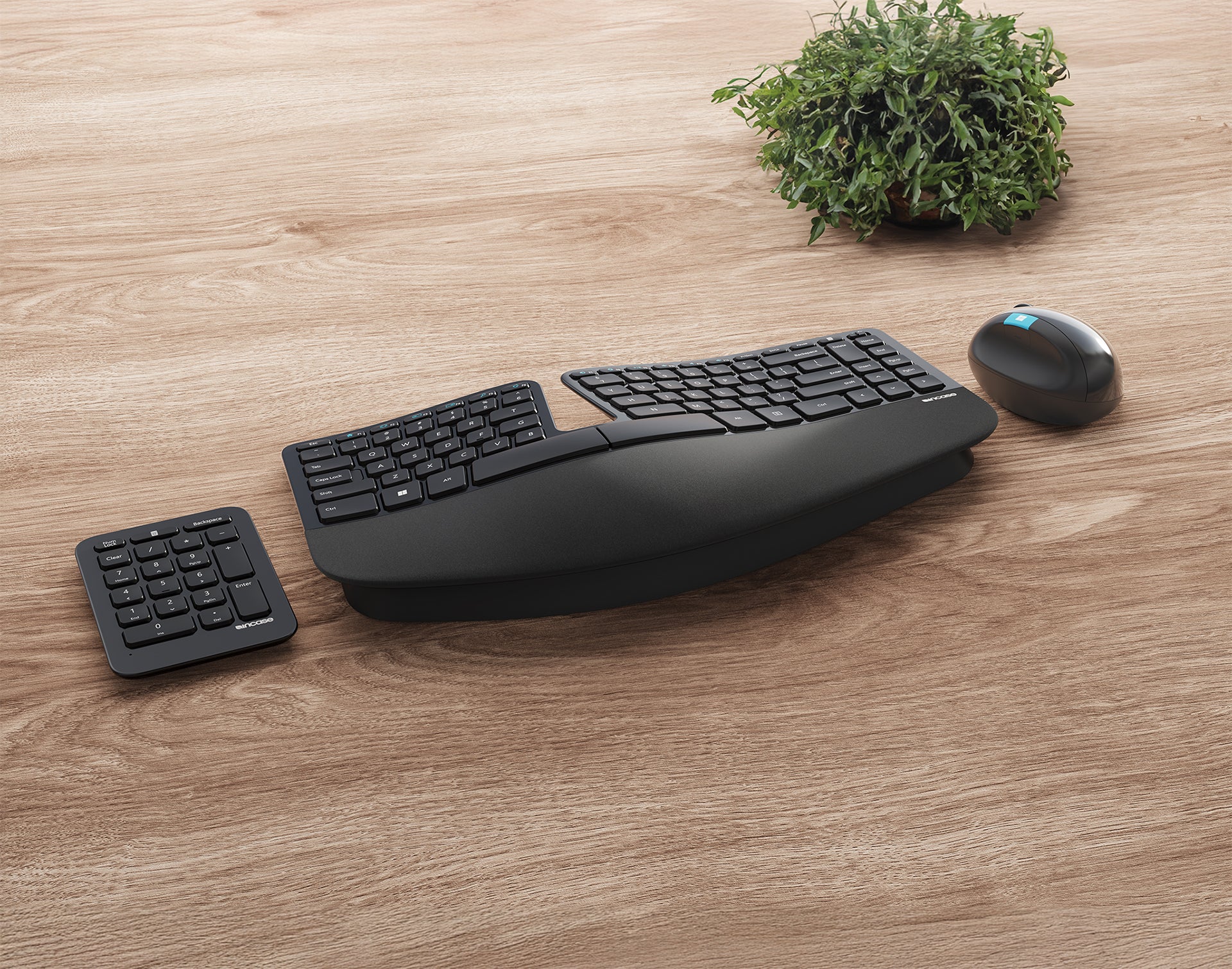 【美品】 Microsoft Sculpt Ergonomic Desktop Microsoft Sculpt Ergonomic Desktop review | TechRadar