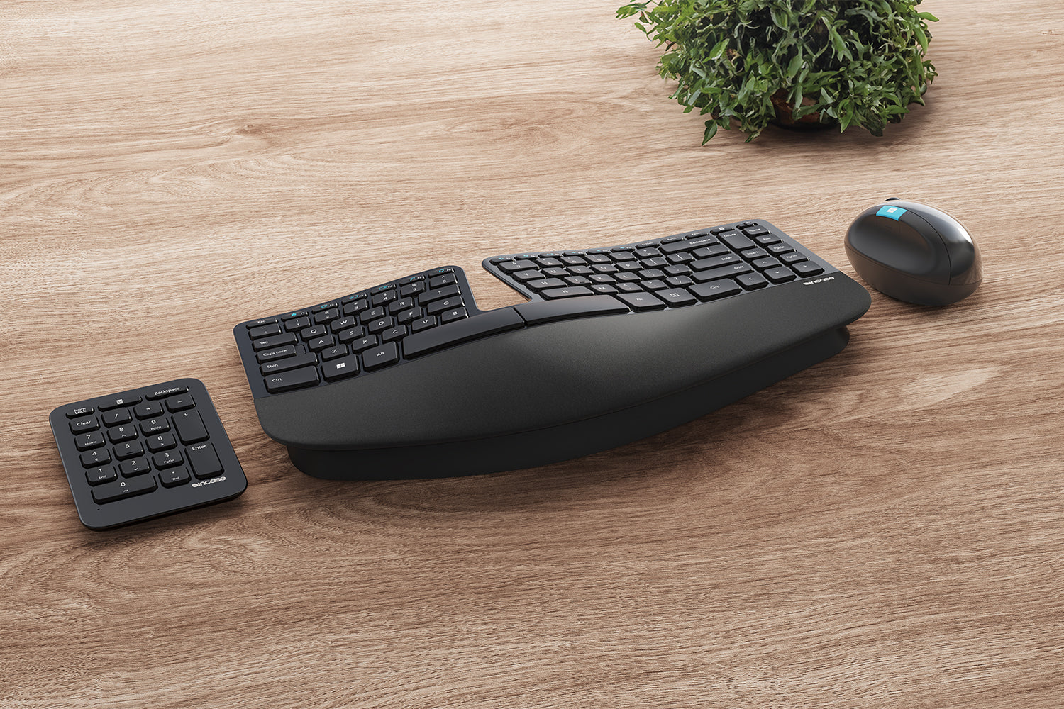 Incase Designed by Microsoft Desktop Collection – Incase.com